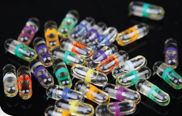 NJYF-300C Машина для наполнения масляных капсул In-Cap 0